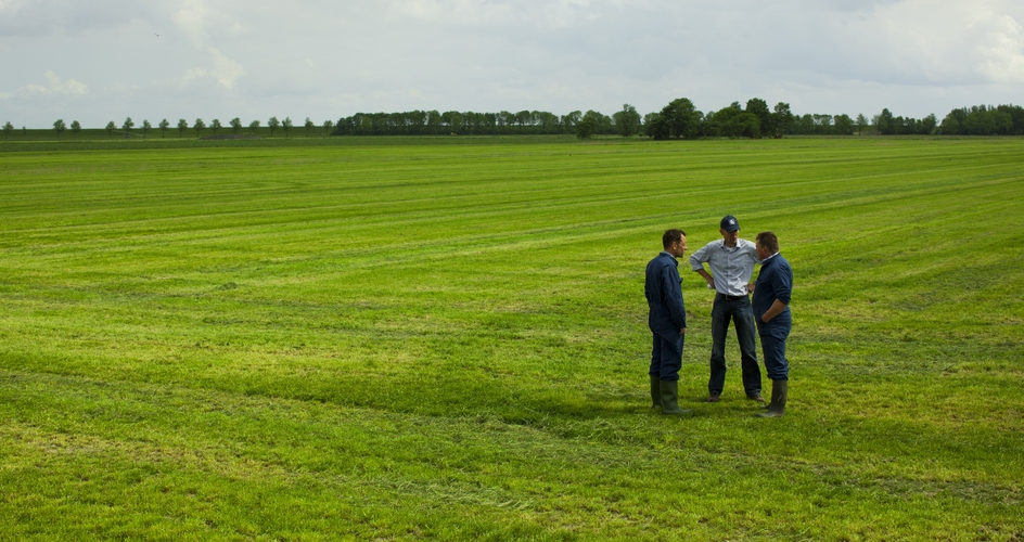Benefit from applying lime to grassland