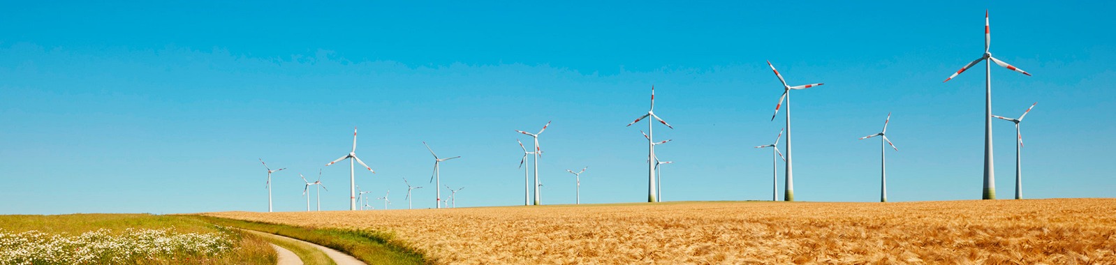 Wind power turbines in field