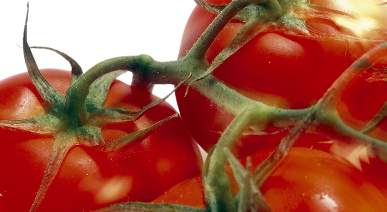 Prevenir la podredumbre apical tomate
