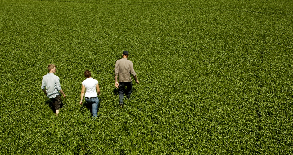 Three people in a field