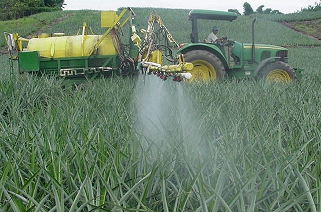 Foliar fertilizer aplication