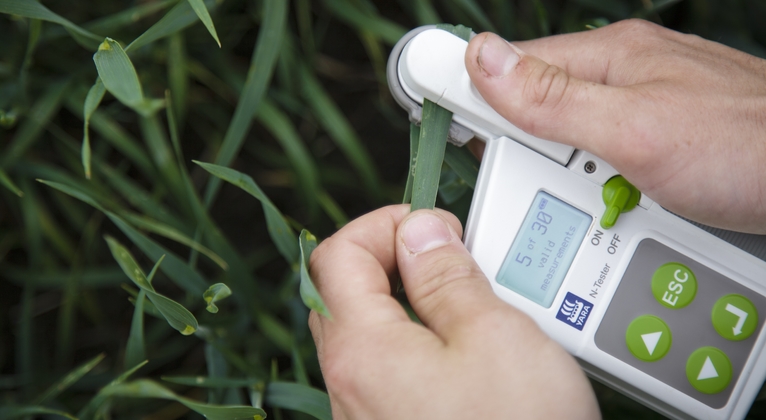 N-Tester - to measure leaf nitrogen