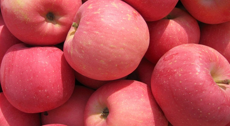Fertilisation des pommes et des poires