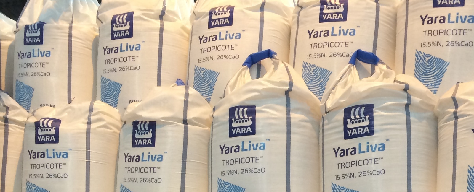 Calcium nitrate fertilisers - YaraLiva