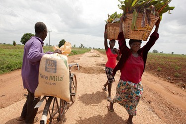 Ghana farm workers