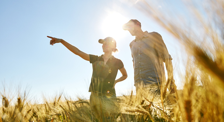 man and woman in wheat field with sunshine