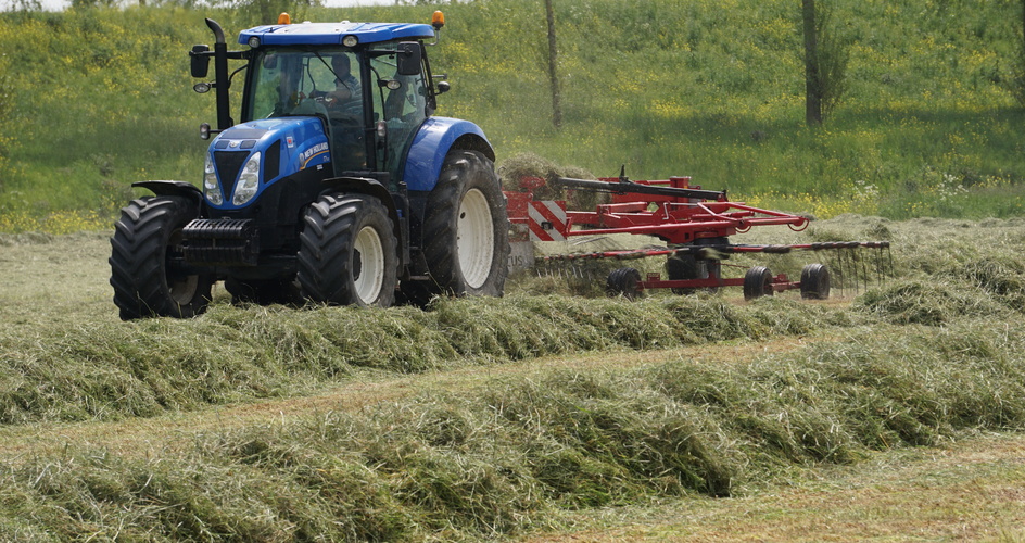 Avoid compromising silage yield and quality following the cold wet spring
