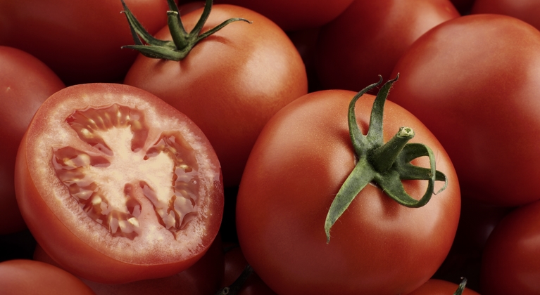 Nutrición vegetal tomate