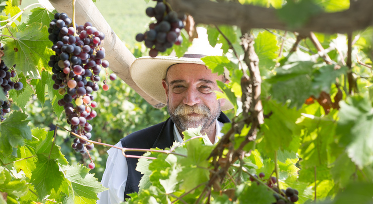 Prácticas para el cultivo de uva de mesa
